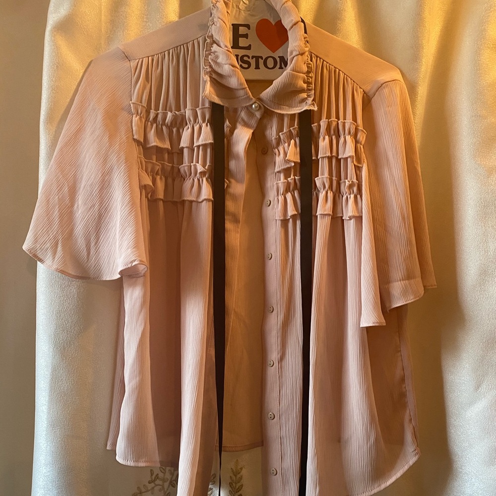 Zara short sleeve blouse.